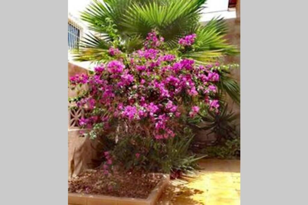Semi-Detached Villa Sea Views, Huge Terrace, Close Beach Palm-mar Extérieur photo